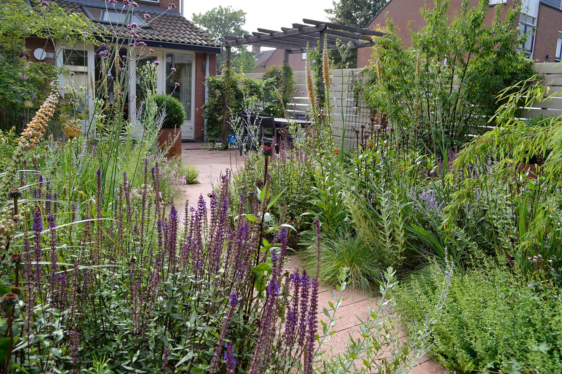 Volle borders in een aangelegde tuin