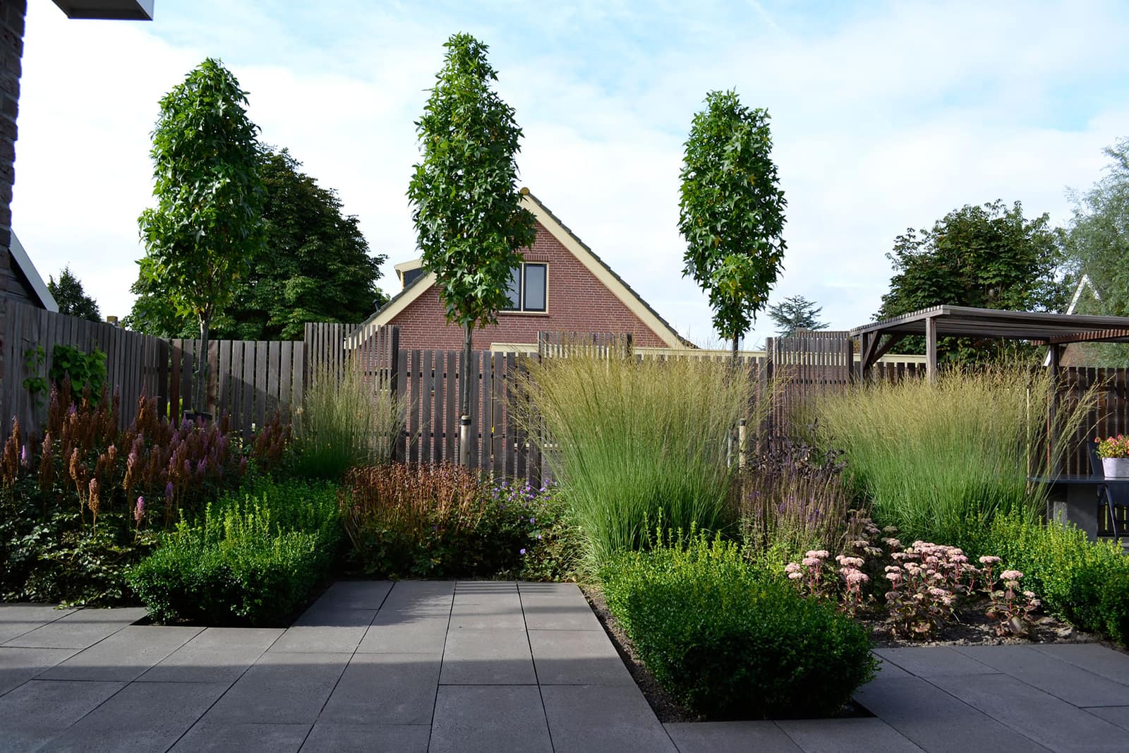 Rij slanke bomen langs een border in een verzorgde tuin
