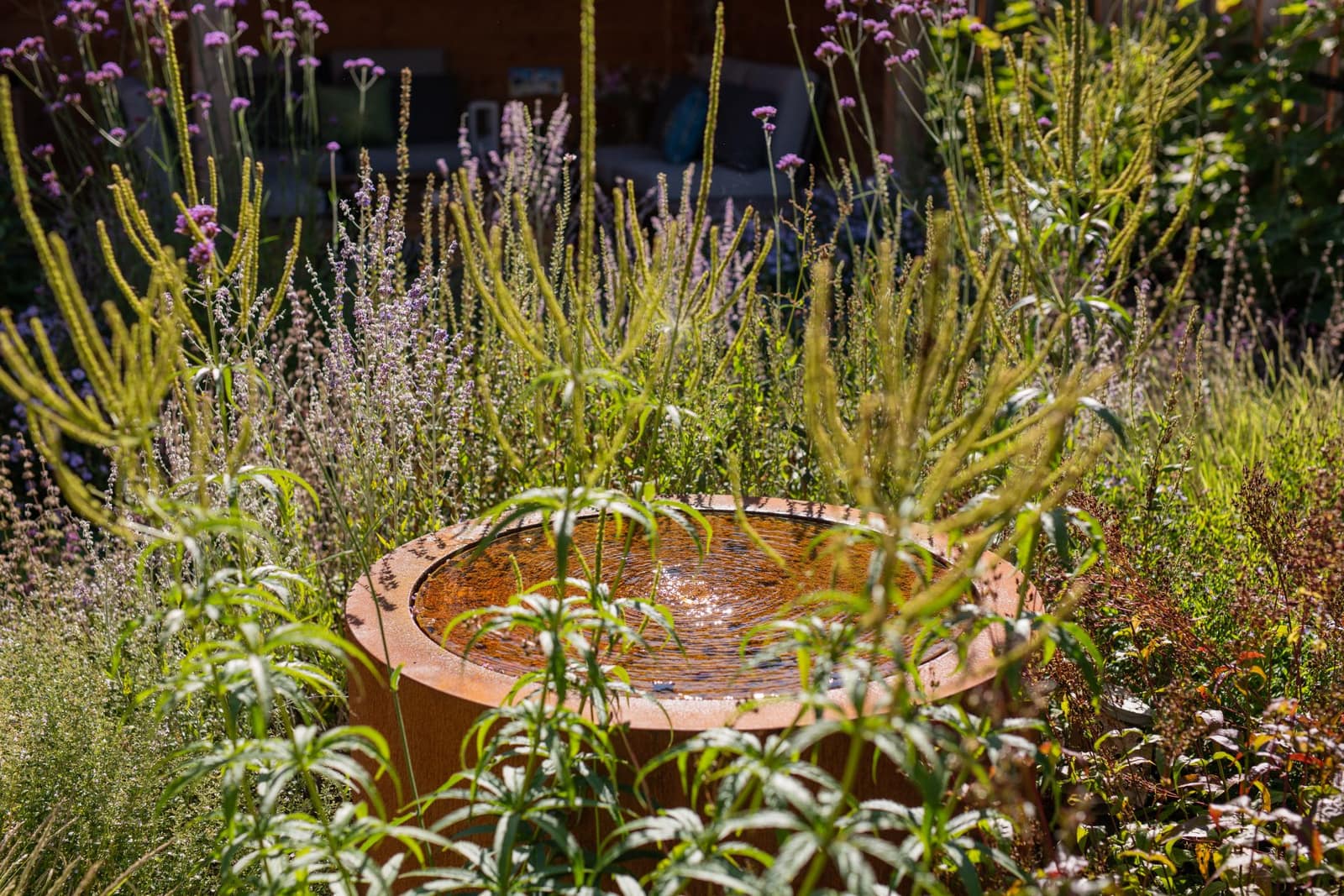 Natuurlijke tuin: ronde cortenstalen waterschaal tussen siergrassen