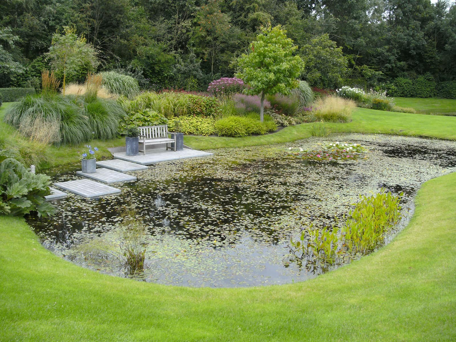 Vijvertuin 3: natuurlijke vijver met waterlelies en een bank aan het water