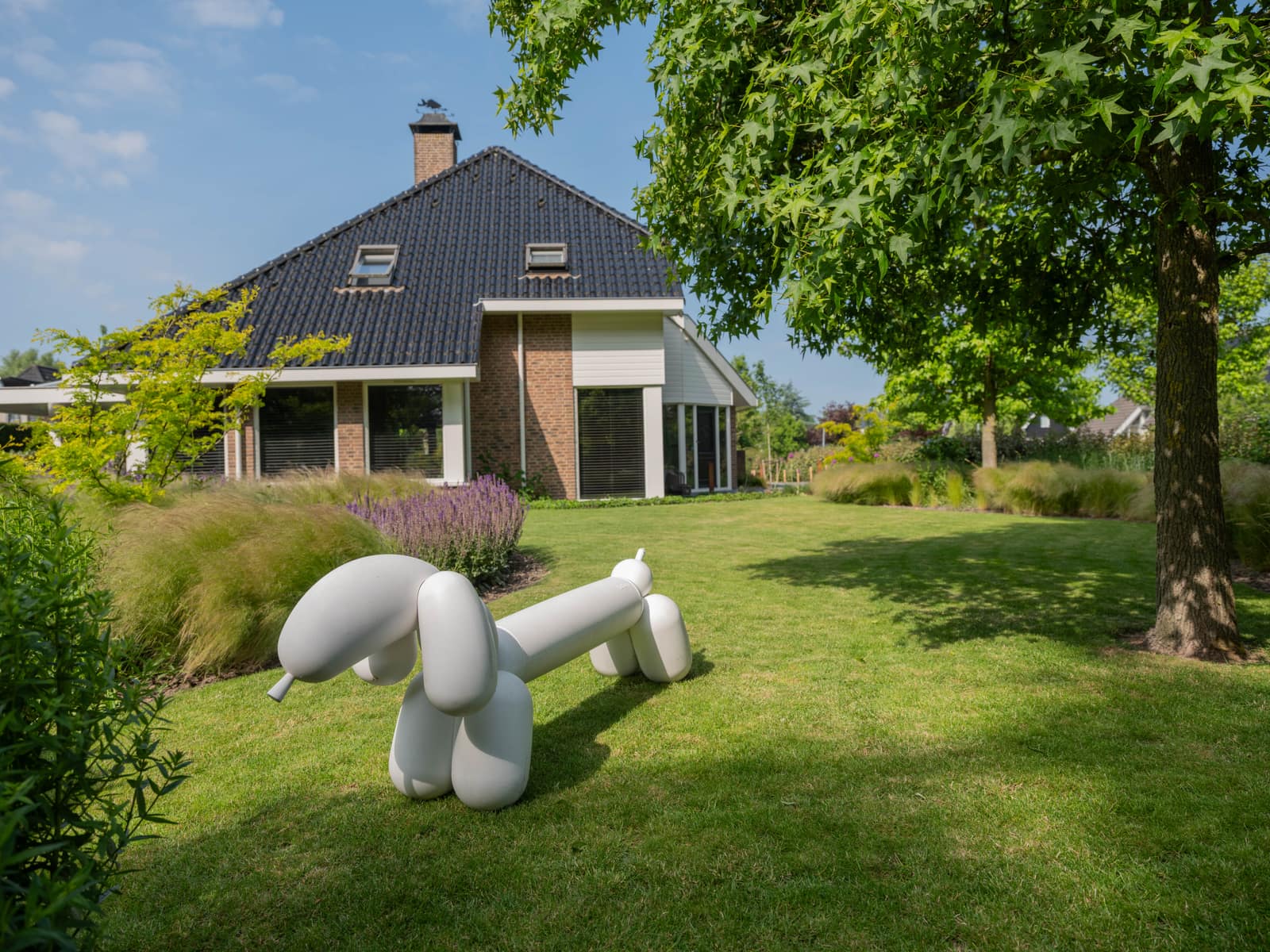 Winterkoning: ruim gazon met bloemrijke borders rond het huis