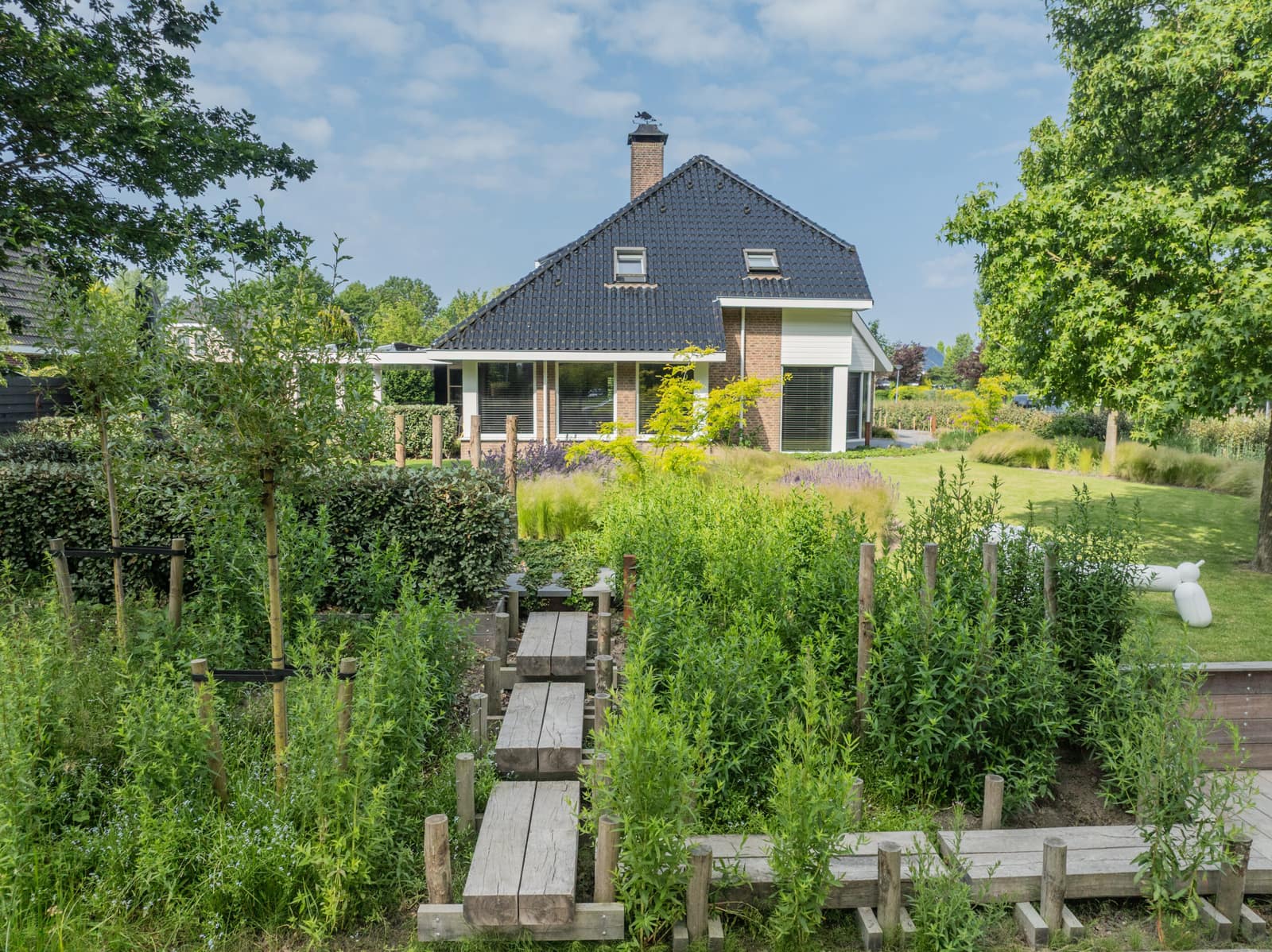 Bomen in een verzorgde tuin, in vorm gehouden