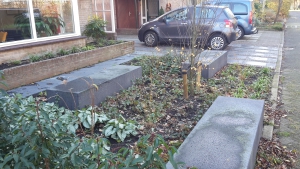 Moderne-tuin3_01.jpg