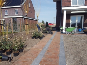 Beplanting in de tuin 7