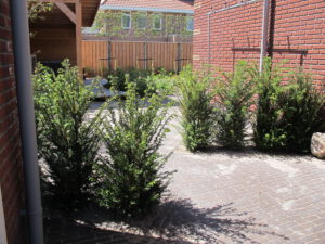 Duurzame tuin 2