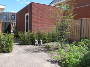 Duurzame tuin 3